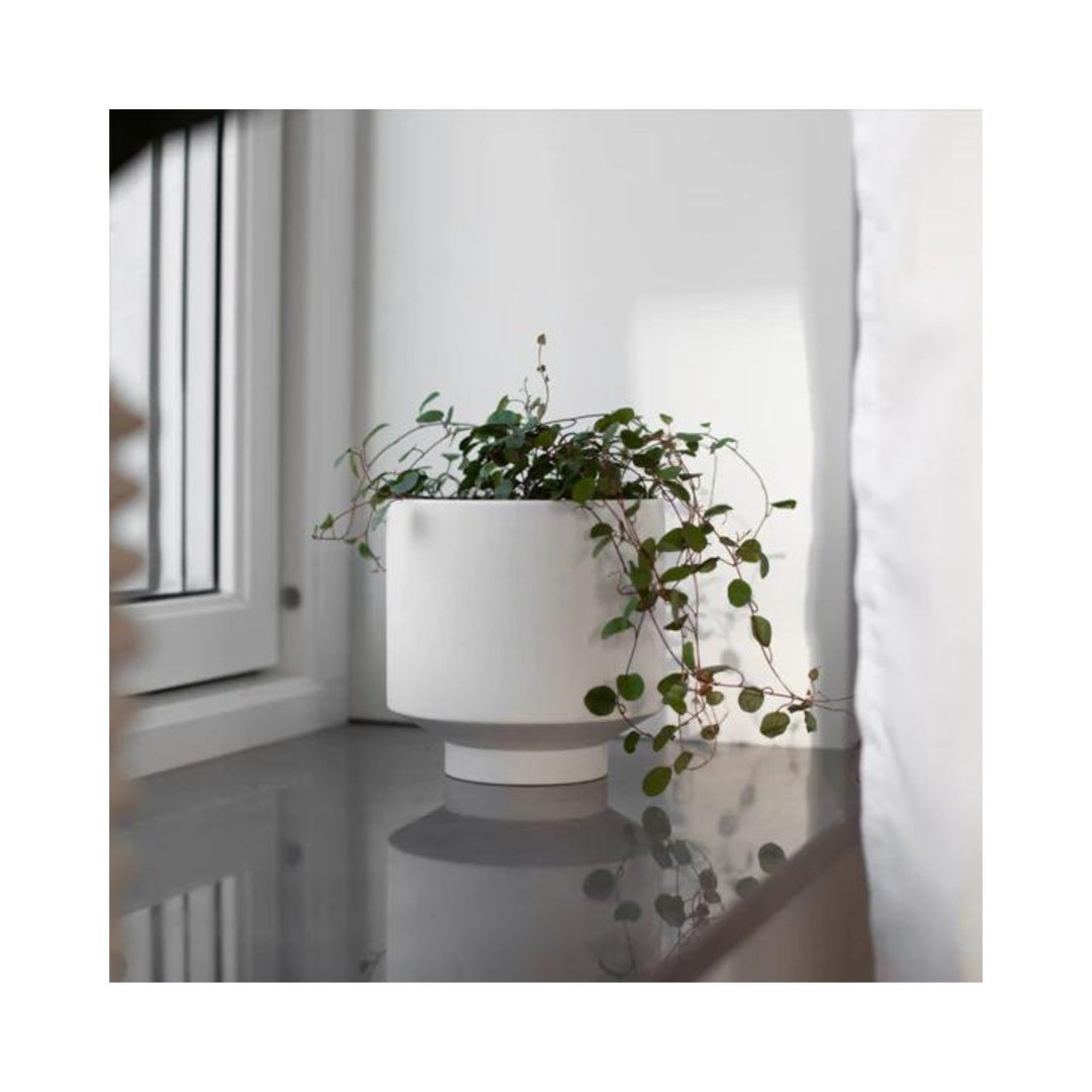 Kiaby White Pot Vase
