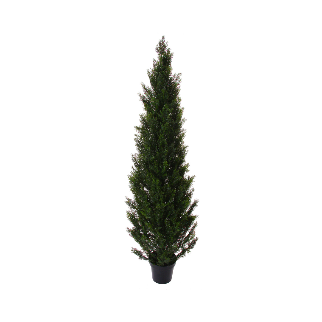 Pine Tree 1.8m