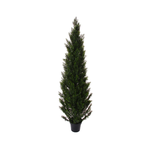 Cedar Potted Tree - Green 2.5m