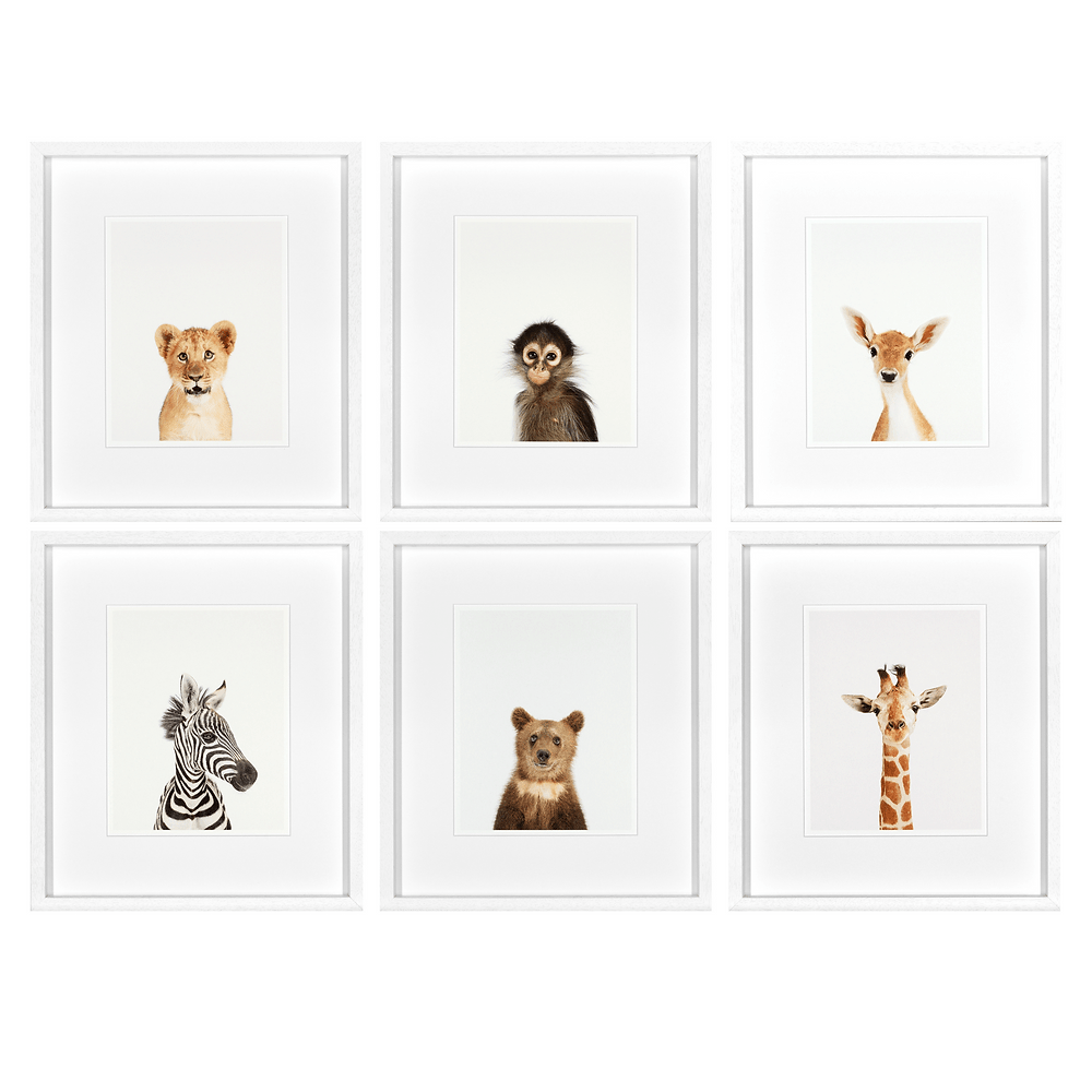 Animal Prints Set of 6 - Sutherland Interiors