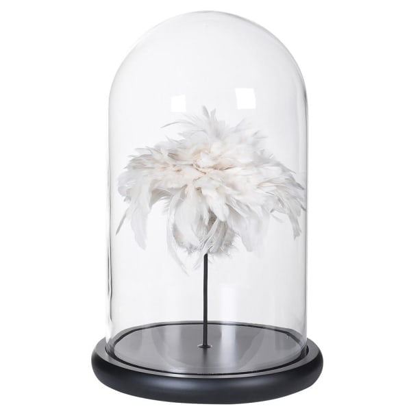 Feathers In Glass Dome