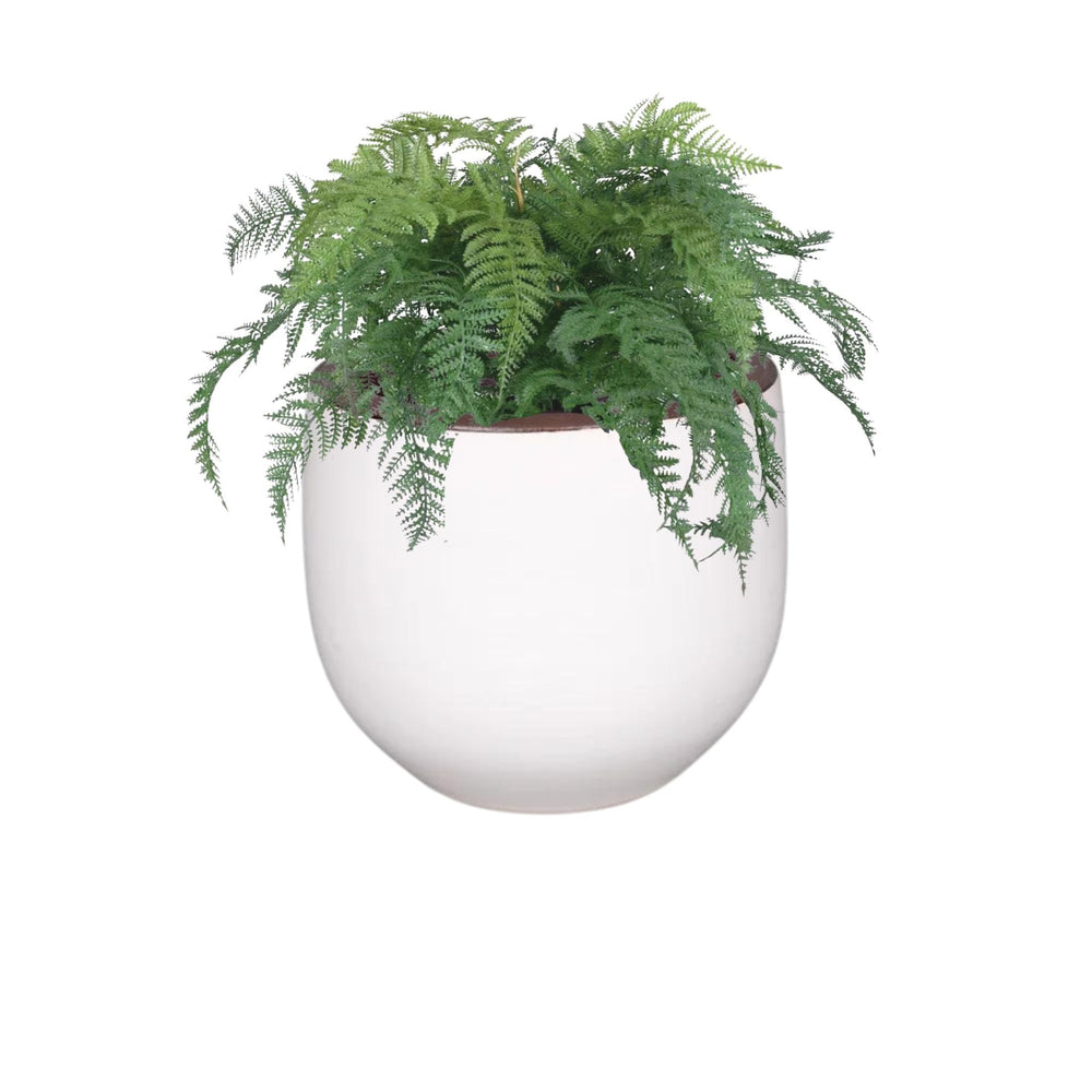 Ceramic planter white - Sutherland Interiors