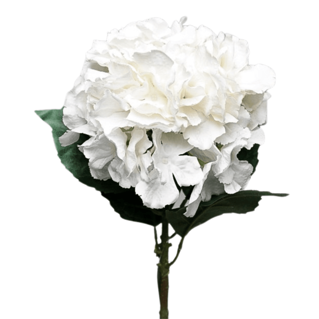 Cream Hydrangea L - Sutherland Interiors