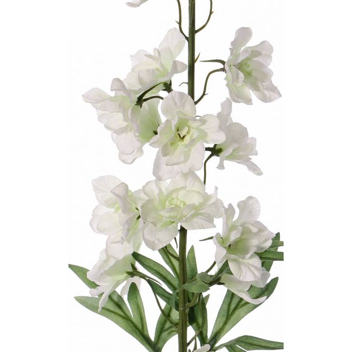 Delphiniam Spray Cream - Sutherland Interiors
