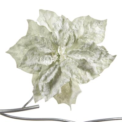 Goodwill Velvet Green/White Poinsettia