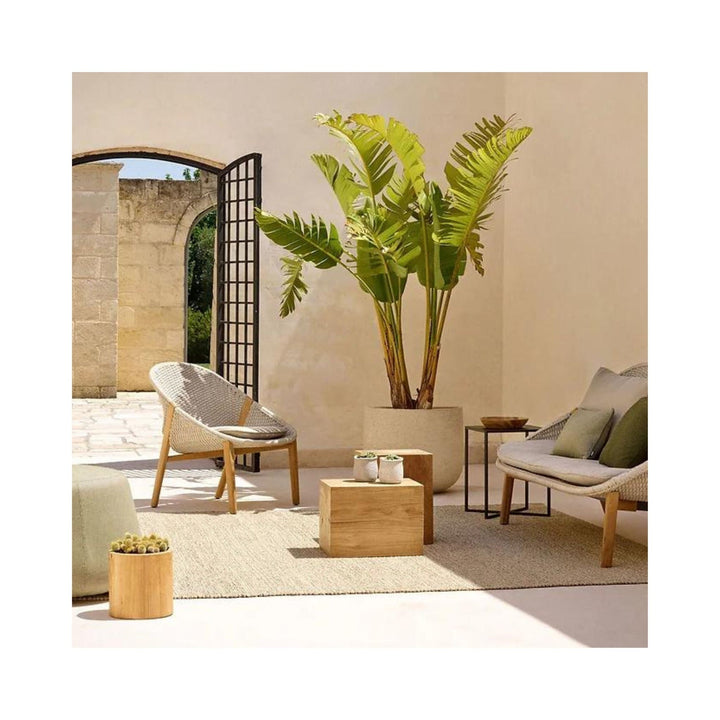 Elio outdoor Armchair - Sutherland Interiors