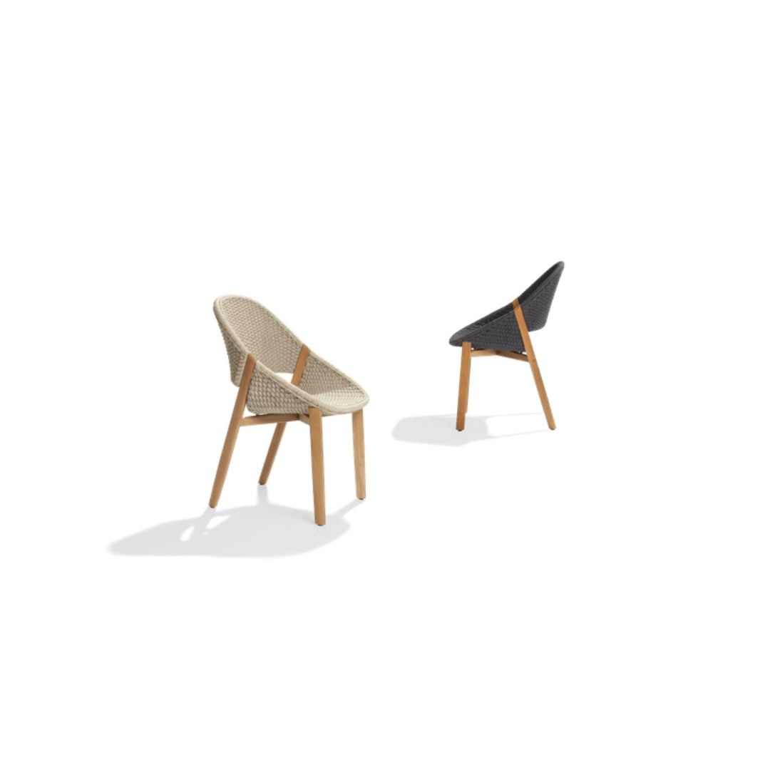 Elio Outdoor Dining Chair - Sutherland Interiors