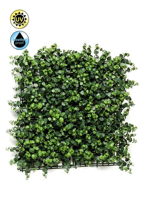 Eucalyptus mat weather resistant/UV 50x50cm - Sutherland Interiors