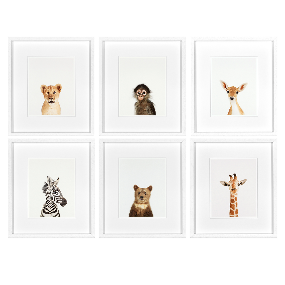 Animal Prints Set of 6