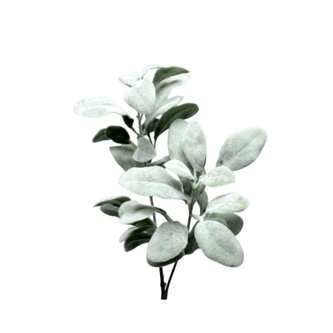 Fusty Miller Spray 2 Branch 68cm - Sutherland Interiors