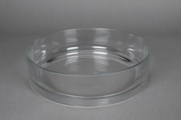 Glass Bowl - Large Flat - Sutherland Interiors