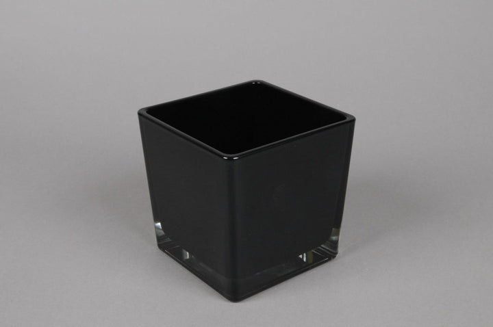 Glass Cube Vase - Black - Sutherland Interiors