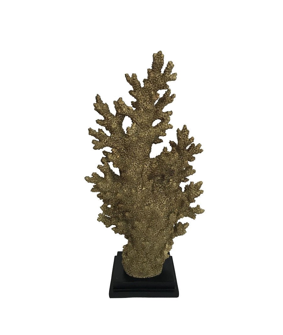 GOLD CORAL IN RESIN - Sutherland Interiors