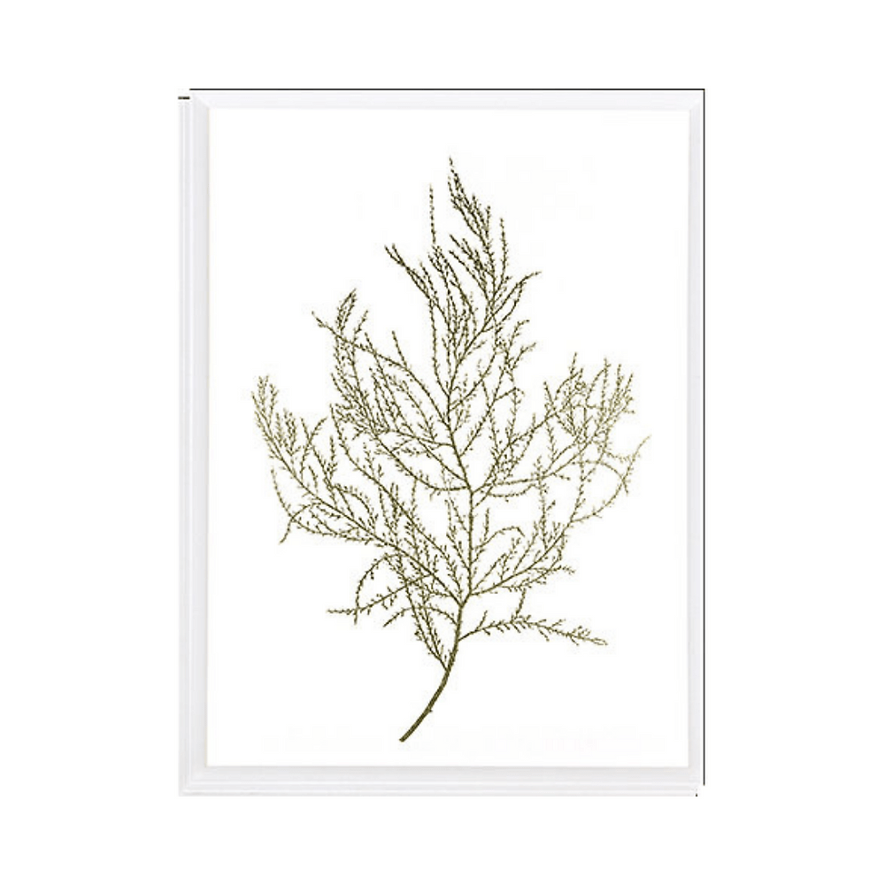 Gold Foil Algae III - Sutherland Interiors