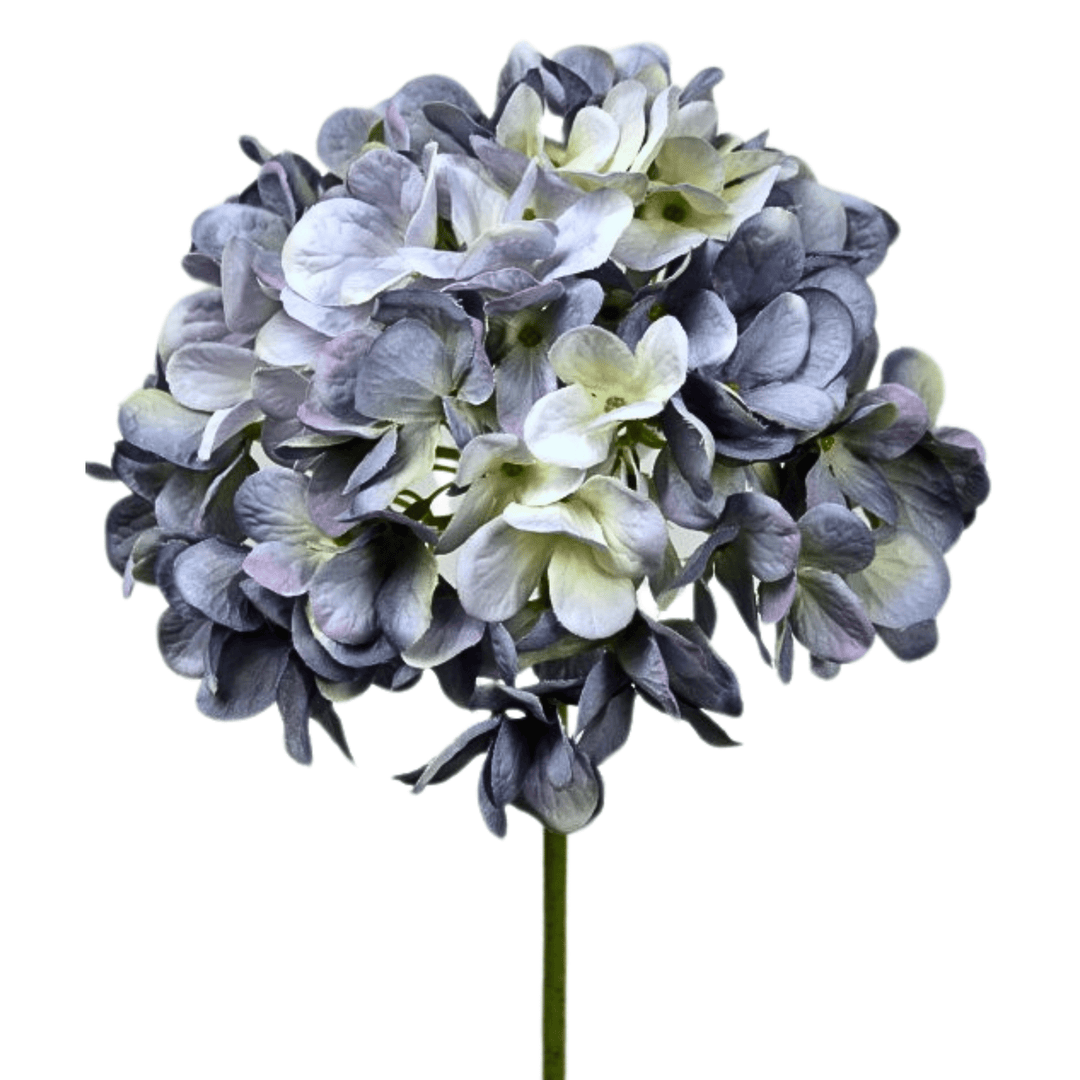 Hydrangea Blue Green - Sutherland Interiors