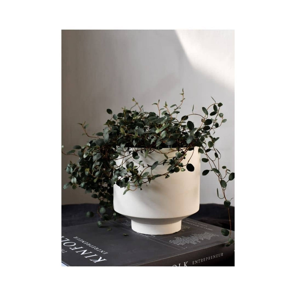 Kiaby White Pot Vase - Sutherland Interiors