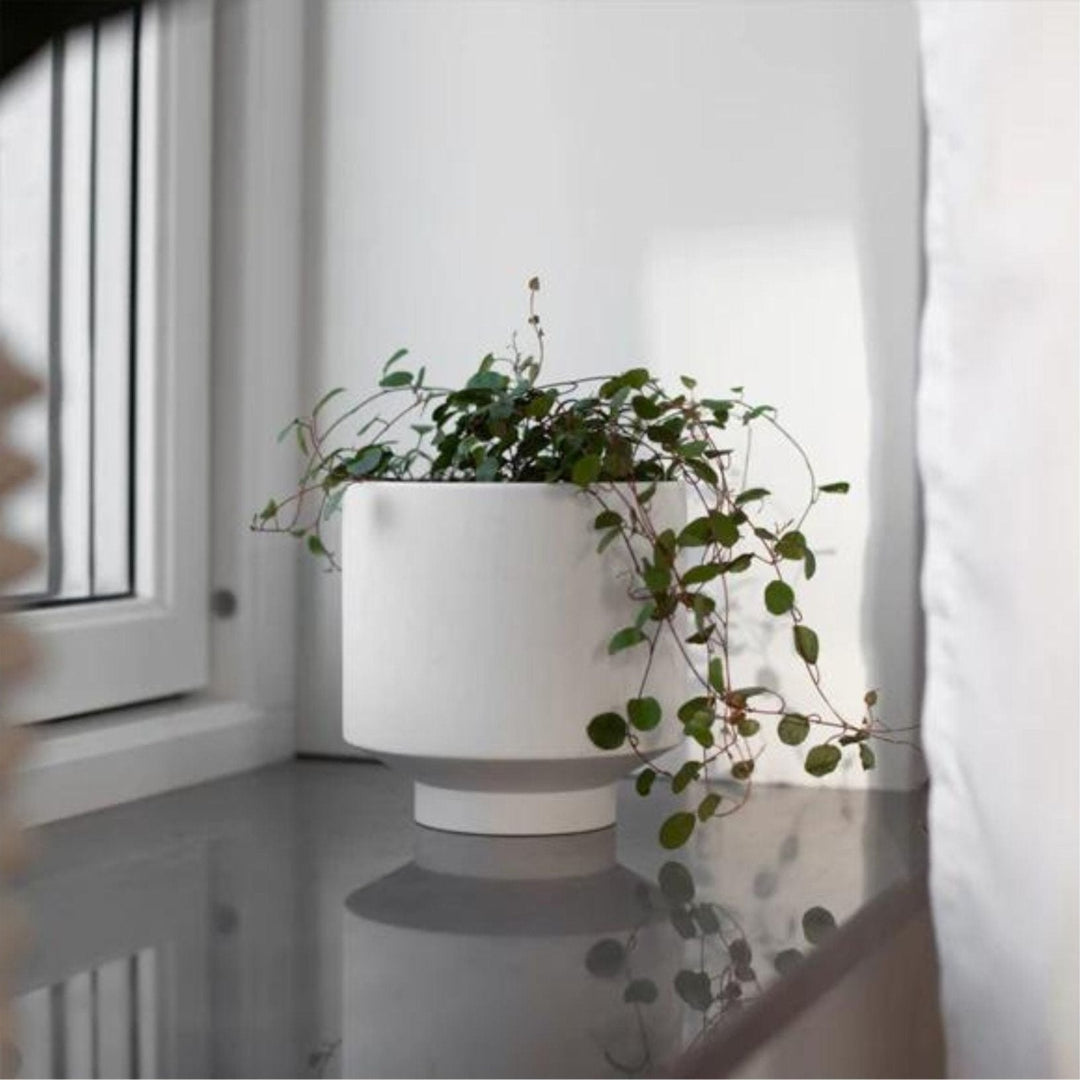 Kiaby White Pot Vase - Sutherland Interiors
