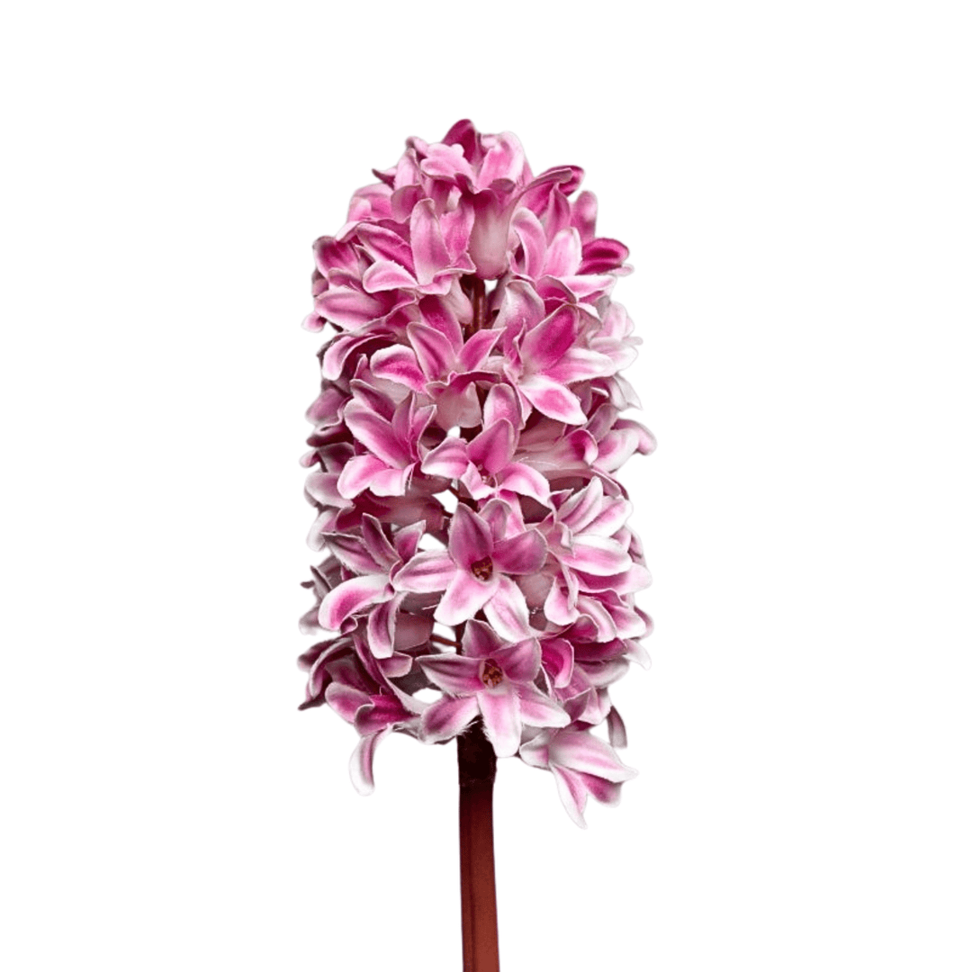 Pink Hyacinth - Sutherland Interiors