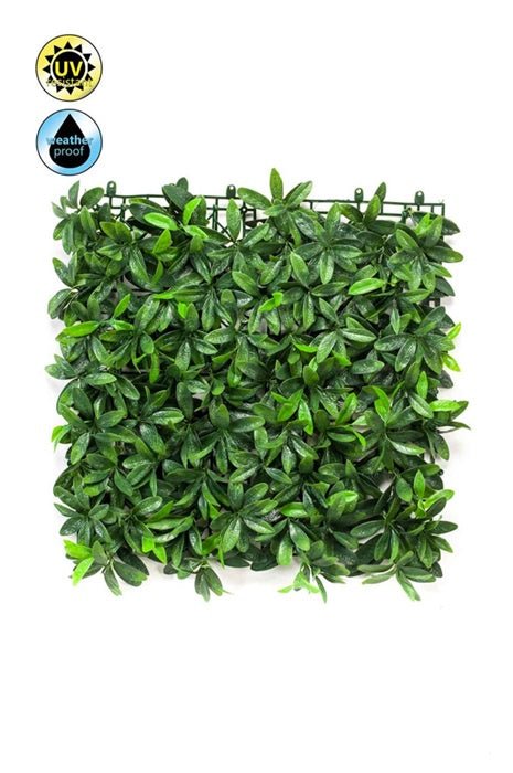 Pittosporum mat weather resistant/UV 50x50cm - Sutherland Interiors