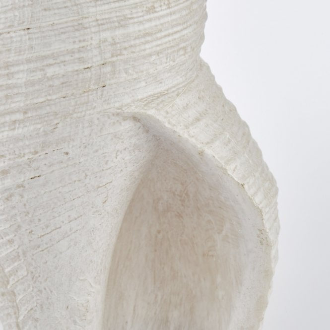 Serafina Sea Shell on Stand - Sutherland Interiors