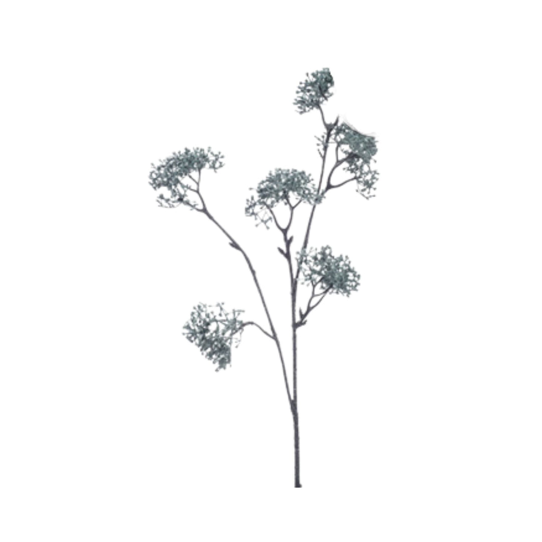 Skimmia Spray 63cm petrol frost - Sutherland Interiors