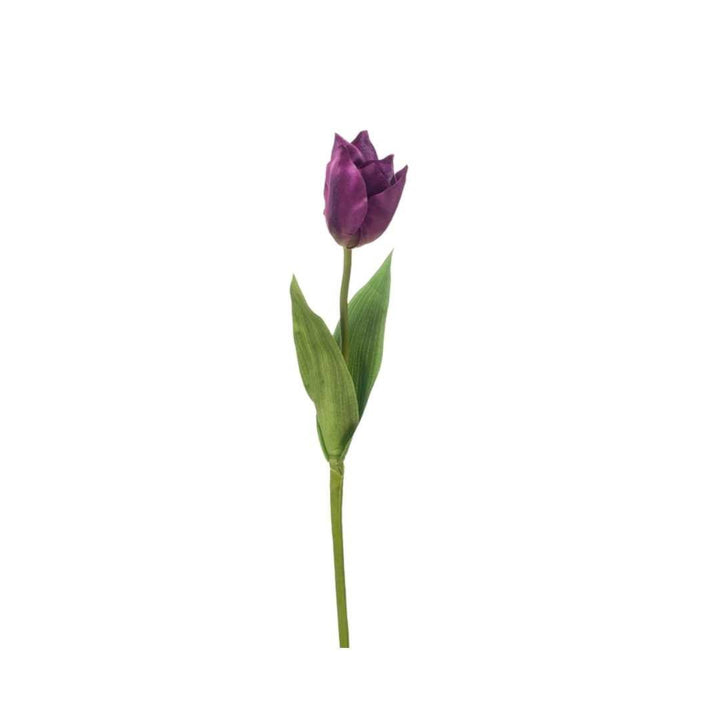 Tulip Bakeri - Sutherland Interiors