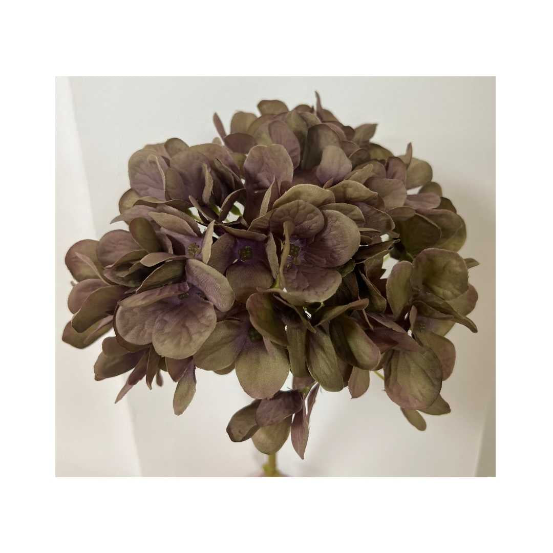 Hydrangea Gr.Purple 50cm